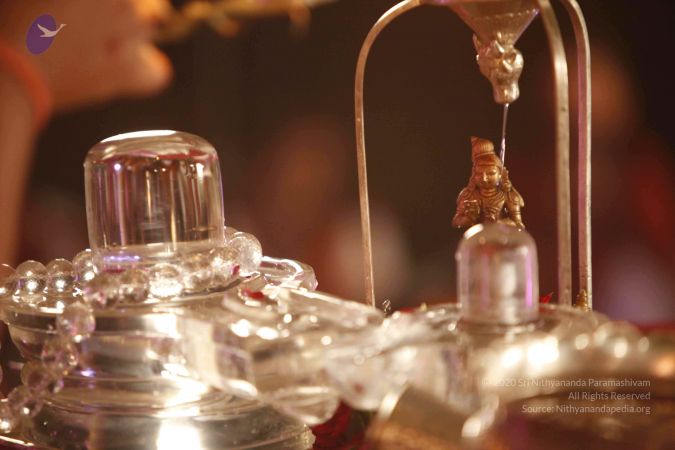 2014052020201210- MG 1123 CMP WM 1.jpg