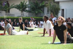 20140520 Photo 1051 1PnFdvclsa2oGthJCvC8BzK1XbUC8tVPq.JPG