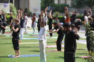 20140520 Photo 1055 1QW8BveHwmFo-j sNJxNM6ZRbzs2CNRPy.JPG