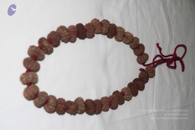 20140530 Photo 1044 1dKeiEXvhNlETks7oMZpKMBBdF4aFZPgY.JPG