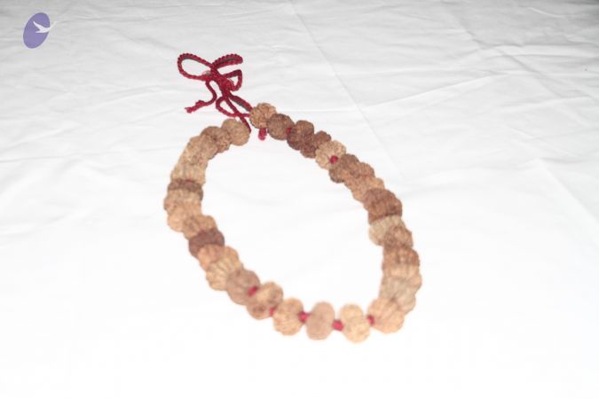 20140530 Photo 1045 1GpGekXDzKU5cpjyjhYtcDp64TI1FpjHv.JPG