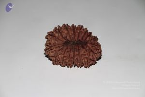 20140530 Photo 1048 1uAhknMQ3fUXJs-EUBd0BFblSRVqKbrxJ.JPG