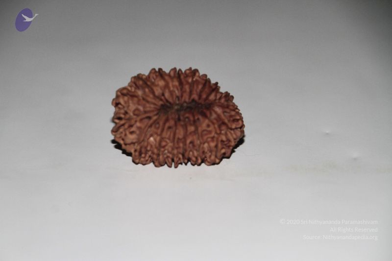 File:20140530 Photo 1049 1EXgojy8NVaq7EHFeuzhFM ba3CIgtzl2.JPG