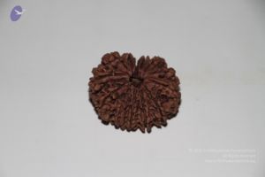 20140530 Photo 1052 1zdiKphJ-G-f9HvpHNuytfnLzQfN0 AiS.JPG