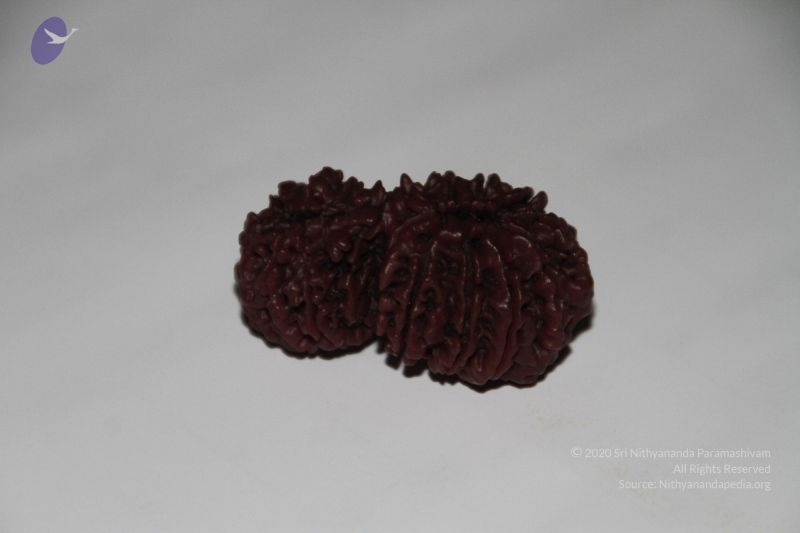 File:20140530 Photo 1054 1ncLE6jiqE22PEbeIQde3dzdFAqLkz0 i.JPG