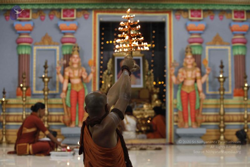 File:20140601 Photo 1131 1FSB5swDw77dg8xbotDhQcHlvElH60ou3.JPG