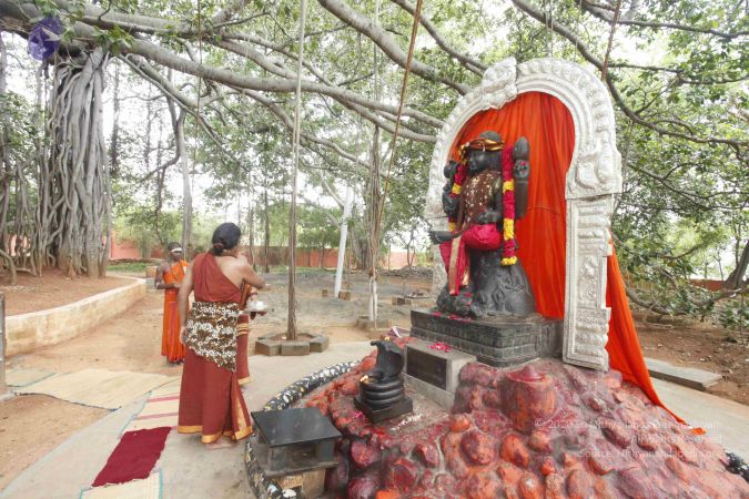 20140606 Photo 1165 1ikxOINK0SSrXdnG4Cs0yjsaIKx3bG1yG.JPG