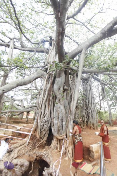 File:20140606 Photo 1171 13ON1edvs6cdZzr4PSa nhQgBw-rBi32c.JPG