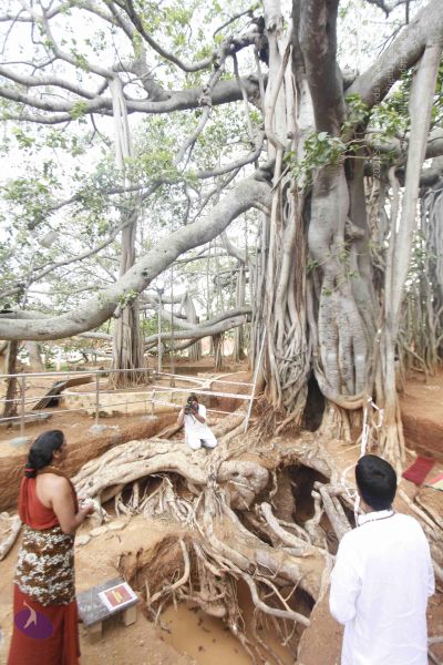 File:20140606 Photo 1173 1n-MzvSad1cRq-X4o4msKU4IgzH2yt334.JPG