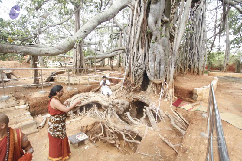 File:20140606 Photo 1175 1GLDnu0qcvN7IHevqzsnKxbq7aeM9hfSA.JPG