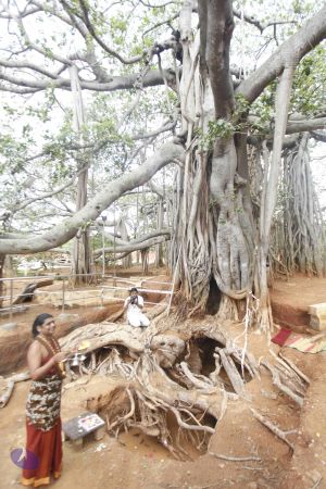 20140606 Photo 1177 16hteDayDofCDzH8C8qmJqjses93BZsHm.JPG