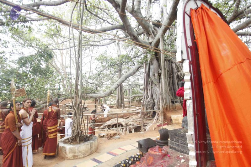 File:20140606 Photo 1178 11CXJVfLXXPOXvDxTOxRUwObsqjaDhiVV.JPG