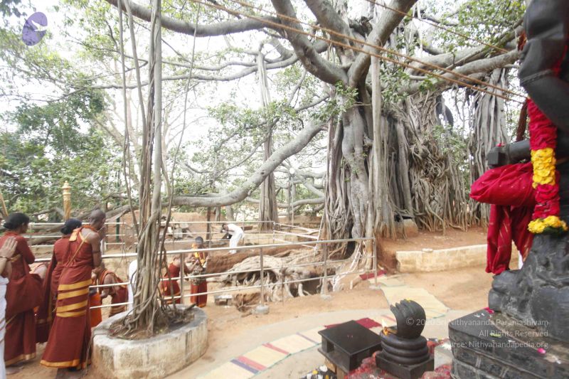 File:20140606 Photo 1179 1Xur8Zk Vd8htm8PnFBZWFSOf8r-sOaQs.JPG