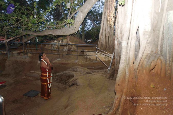 201406162014061620201210- MG 4838 CMP WM 1-217 001.jpg