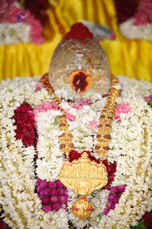 20140619 Photo 1317 1QI3sYWzElRfgmAVSLCQoZtoov0NT Si9.jpg