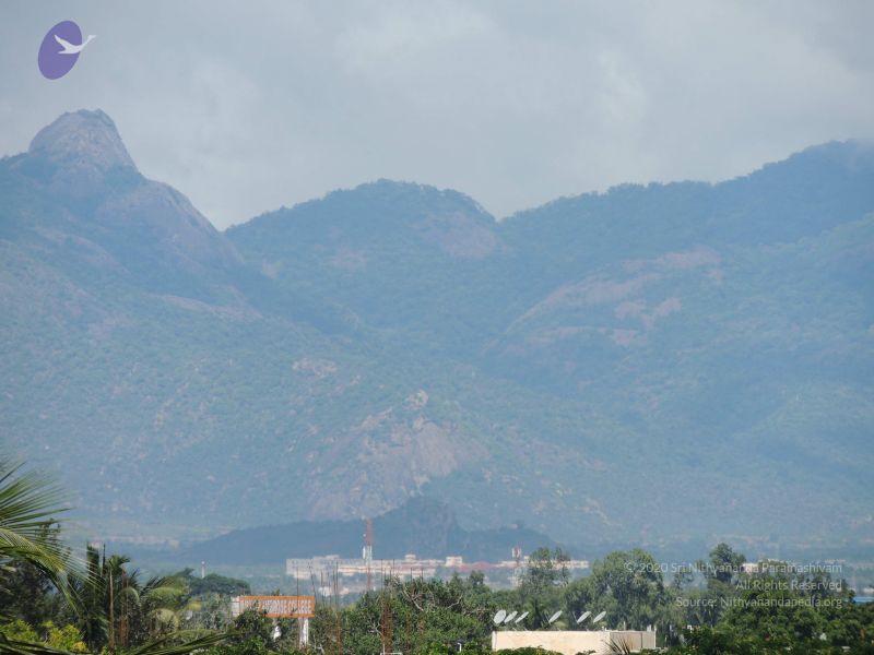 File:20140620 Photo 1002 1wGmZGLNJBnnhgQZPtxVcIGkMFumICGhH.JPG