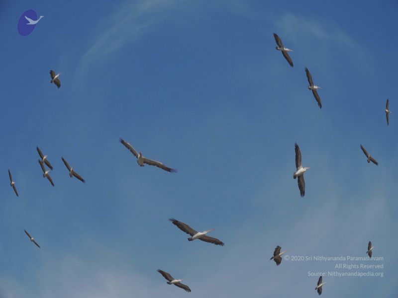 File:20140620 Photo 1004 1jAszyNshodMhVZ294-NcT40i78PE8f-i.JPG