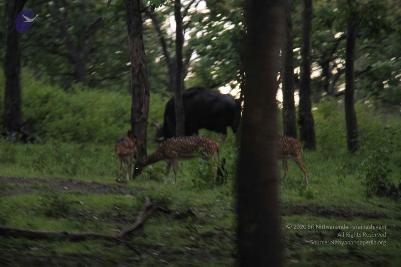 File:20140620 Photo 1007 1G96IJRYeKblLkivdzQukyGBpYf2Dg1o-.JPG