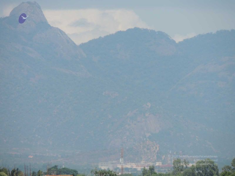 File:20140620 Photo 104 1WR3ChWnWNP1vBHwKJN5U5IDGsPPi2hsR.jpg