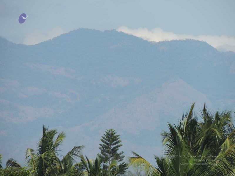 File:20140620 Photo 105 16dToAu7SDp0QosWwzbJxJ1NTBfQr TXw.jpg