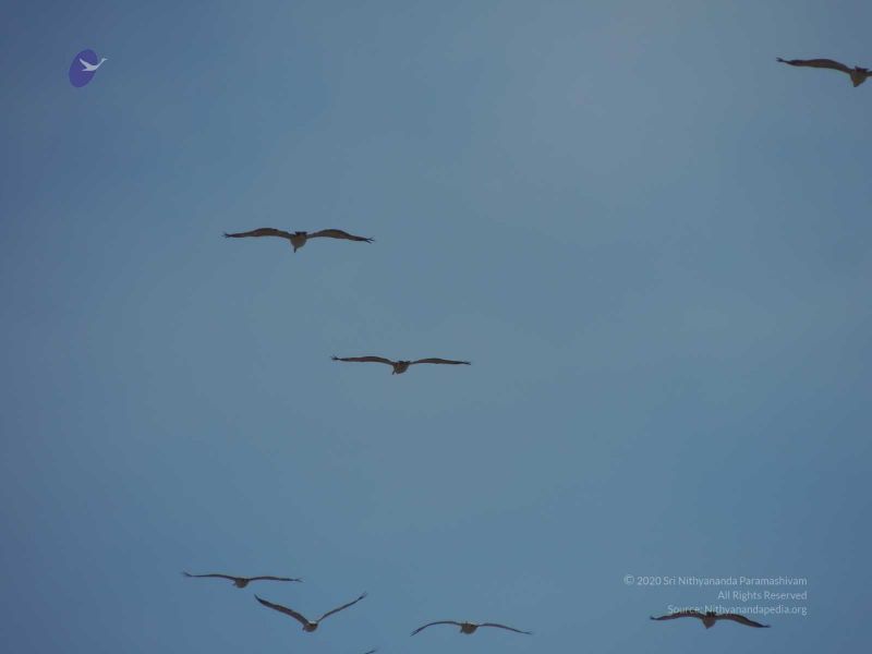 File:20140620 Photo 109 1ztRDMZZkrrwkH2FFKGuVurE-D60TvE6L.jpg