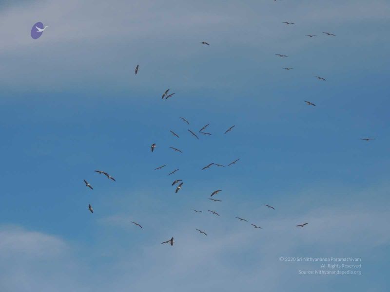 File:20140620 Photo 111 1AlfXdx8rUj0VcHea3INoZEgb2wdVSApr.jpg