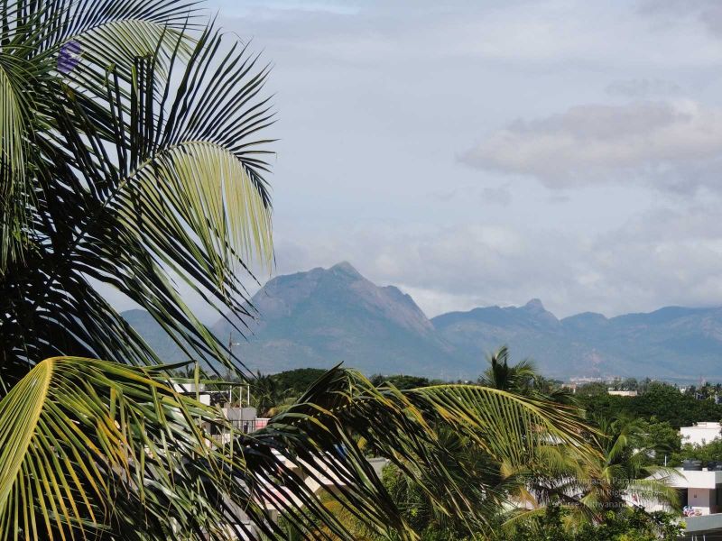 File:20140620 Photo 120 1hjN3O6O4 F-VR1Ju9mErcn6Wgl5vGlL5.jpg