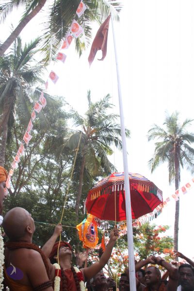 File:20140629 Photo 1155 11ux 0wwuAlfh2eYKowMGWqe9gFMMbPE7.JPG