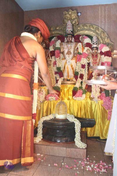 File:20140629 Photo 1215 1XthSg6YrsvENQ6TF6fZEFCfDFQbRxbFB.JPG