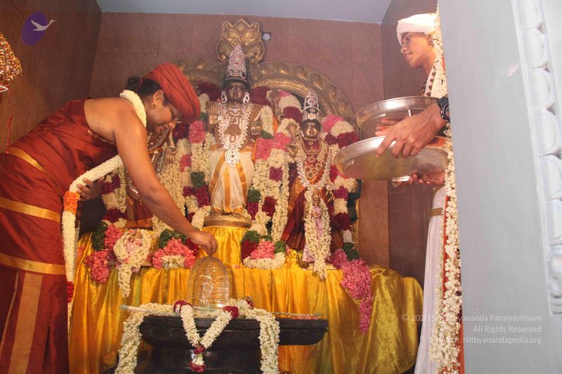 File:20140629 Photo 1241 1tmQifQkcA3TtYiJOUSiM2jwu69WeICNm.JPG