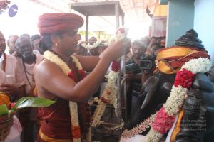 20140629 Photo 1287 1xr9TwQRPP3Y4tGqUPoiuzyI-yz0ZL1-j.JPG