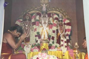 20140629 Photo 1384 17XI36obv5UdtDWKc2zQ4WaM7-y6Jpsh7.JPG