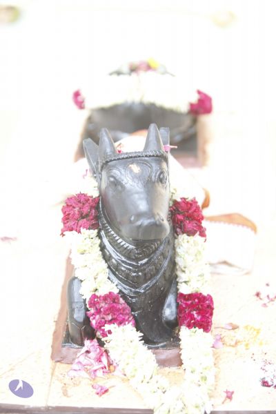 File:20140629 Photo 1766 1xUFGNPkYXM8nc1ZL5ZErWyF9Hx-LY2DB.JPG