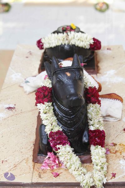 File:20140629 Photo 1767 1aCtMRPsk7aCAx-sSQh57Hdr64Mr6eVuF.JPG