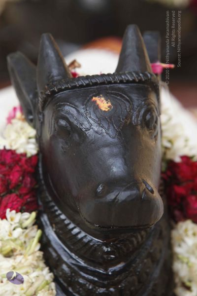 File:20140629 Photo 1768 1-sKx1XwHHUwgOAmUw4C7mUIXkbsjOo y.JPG