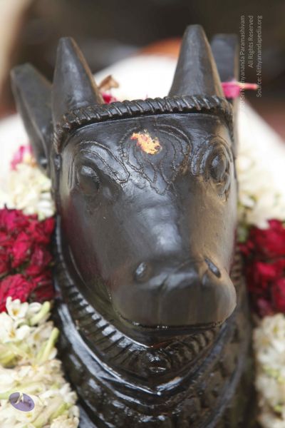 File:20140629 Photo 1769 1HGj4QD23izs1UIFMxFnX HwiOPPAX71D.JPG