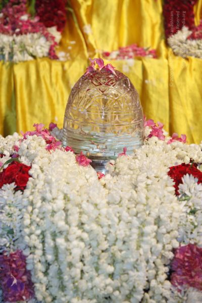 File:20140630 Photo 1115 16bjenidnd1LUrno9jz4HJvXDweTbbI8H.JPG