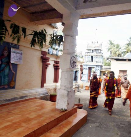 20140701 MG 8138 CMP WM00100.jpg