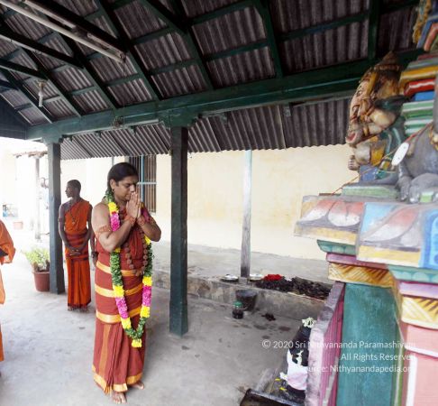 20140701 MG 8142 CMP WM00100.jpg