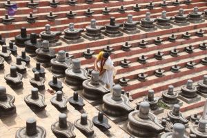 20140711 Photo 1048 1VX8hBT0tpLyCP4xmeZLaFXT6g8sOoTs2.JPG