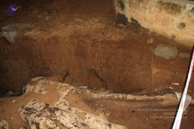 20140713 Photo 1001 1bMXw3fKjFtGlClvmYvkpEssu MZ1eZ8 .JPG