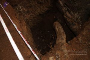 20140713 Photo 1003 1bP6YEumEcyQOEeCpjE8h136jcnhNp2UG.JPG