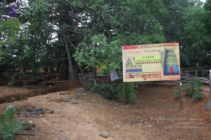 20140713 Photo 1014 1iKlQpv aQjCln1JcNtZ3OBdBJChcws9I.JPG