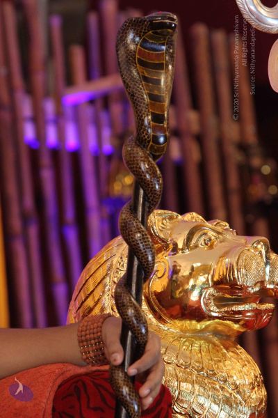 File:20140720 Photo 1021 1QwtEcO53MhoPavo933URvOM 4z9O4ibg.JPG