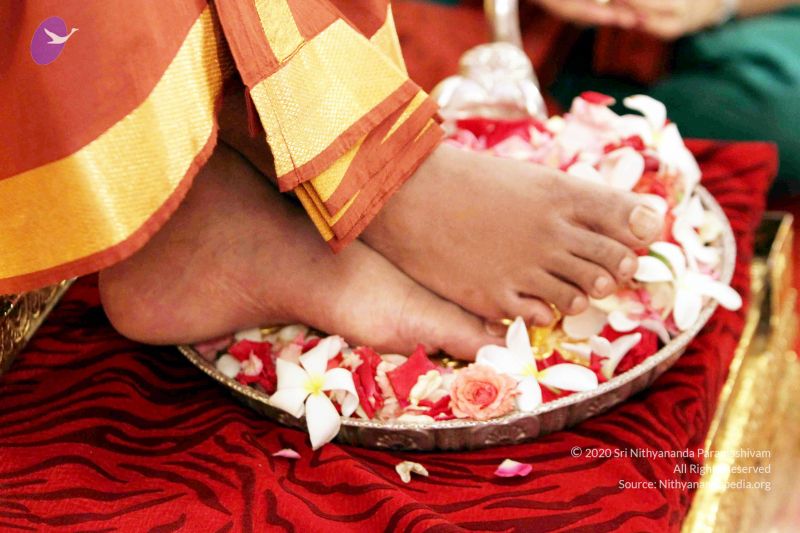 File:20140724IMG 6352 CMP WM01.jpg