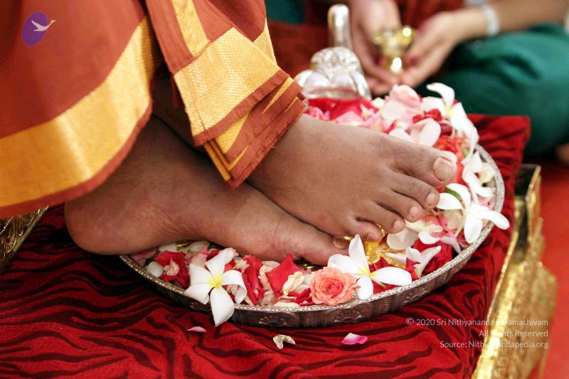 File:20140724IMG 6353 CMP WM01.jpg