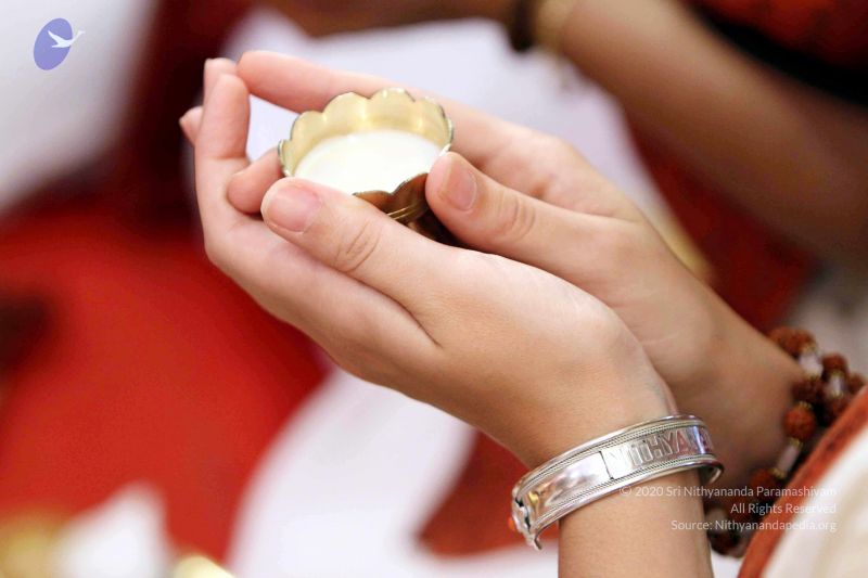 File:20140724IMG 6360 CMP WM01.jpg