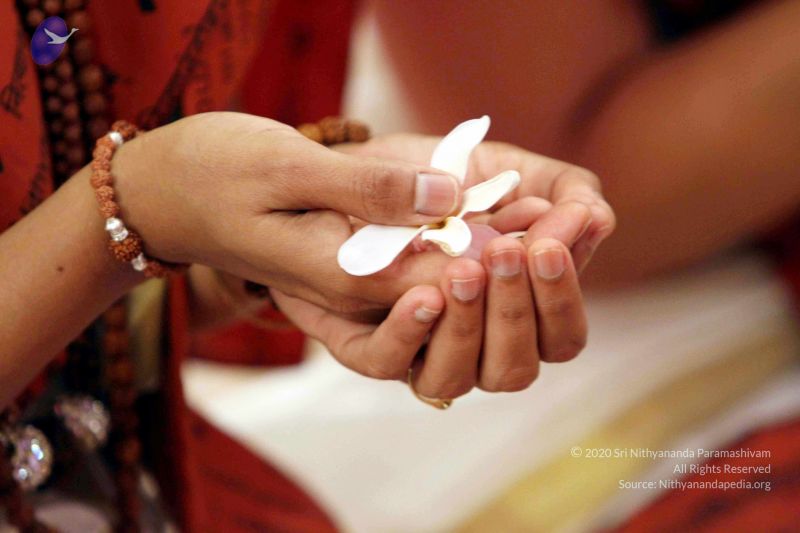 File:20140724IMG 6379 CMP WM01.jpg