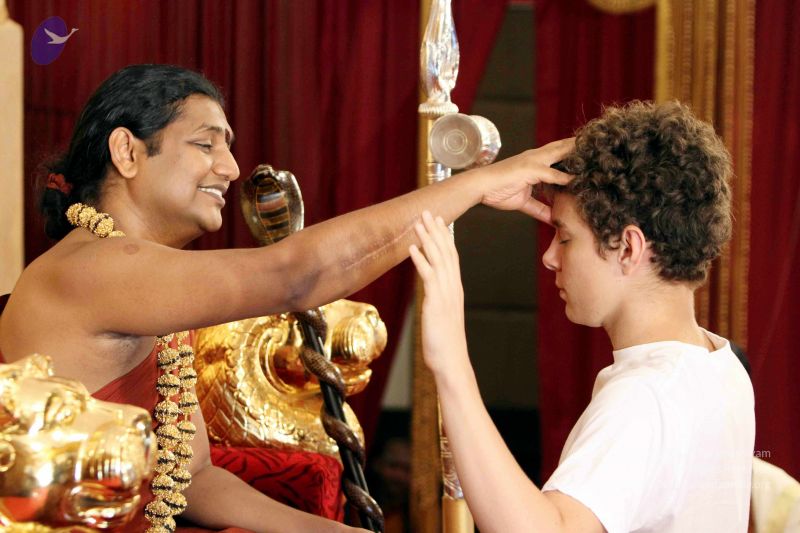 File:20140724IMG 6597 CMP WM01.jpg