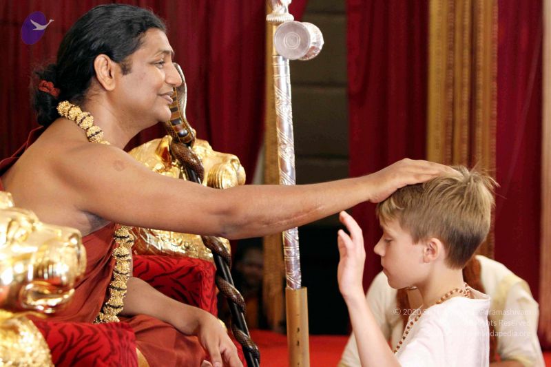 File:20140724IMG 6601 CMP WM01.jpg